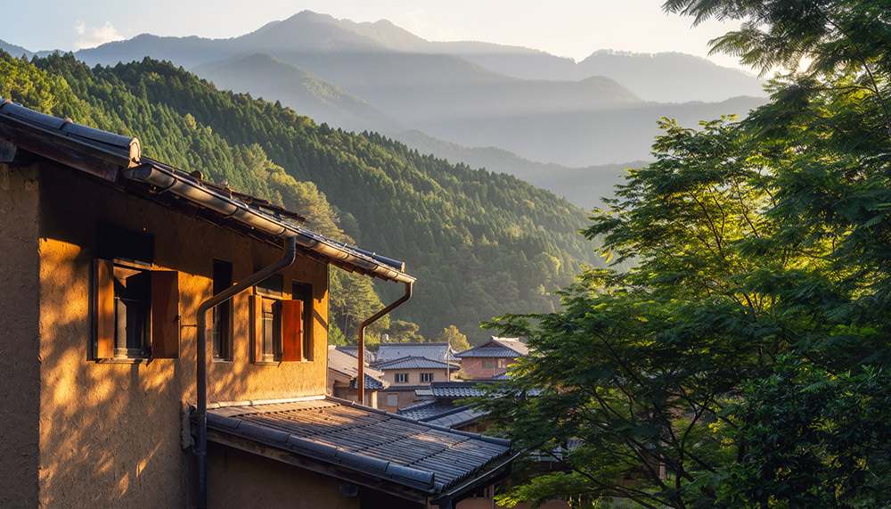【乃南アサ作品の読む順番】作家・作品情報をもっと詳しく知る