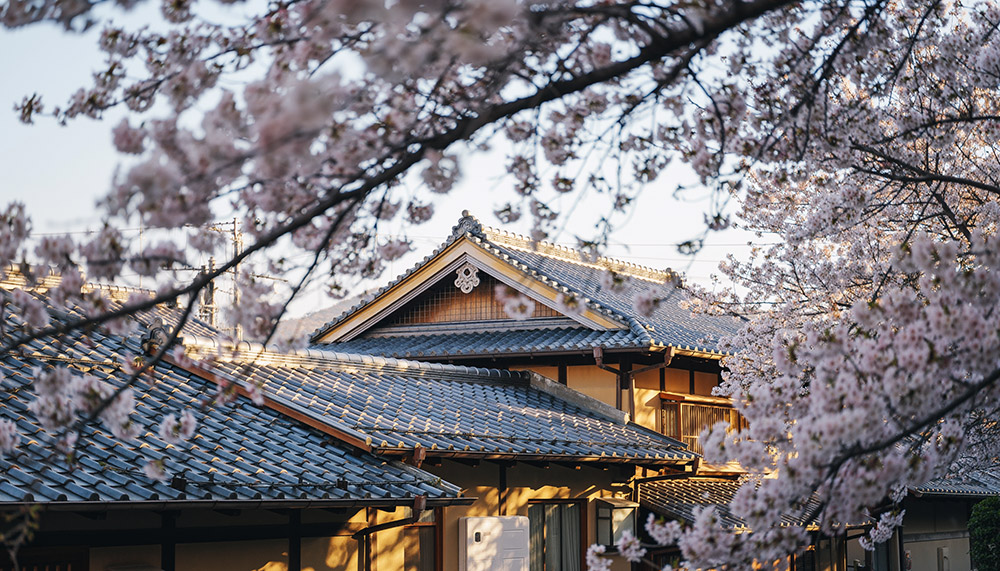 きたきた捕物帳シリーズの順番 | 周辺情報をもっと深掘り