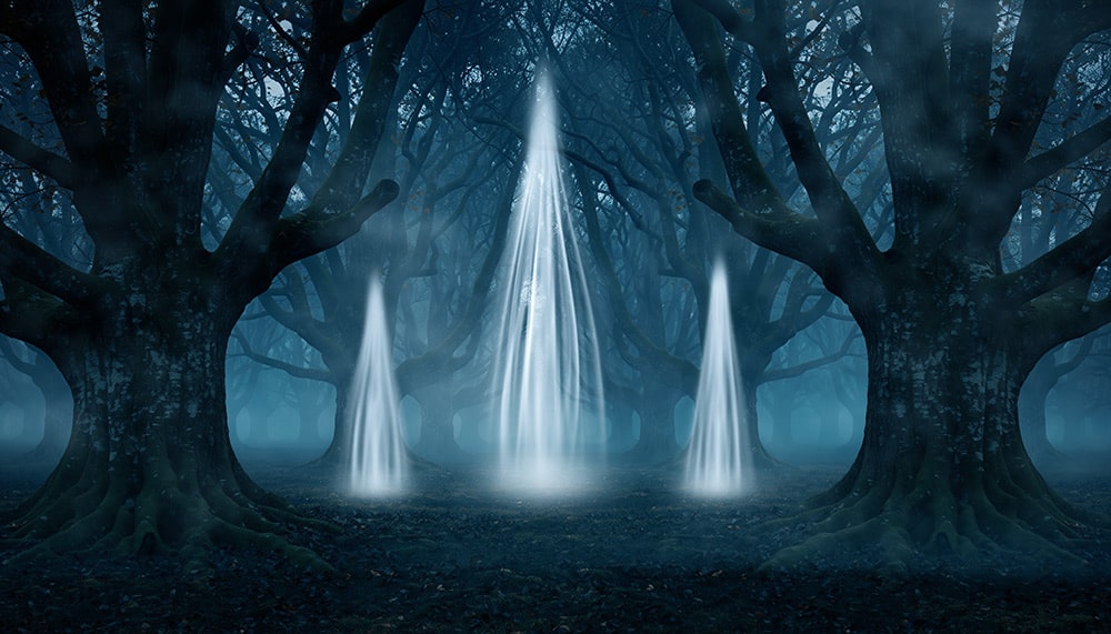 ハリーが石を使った時に現れた人物と役割