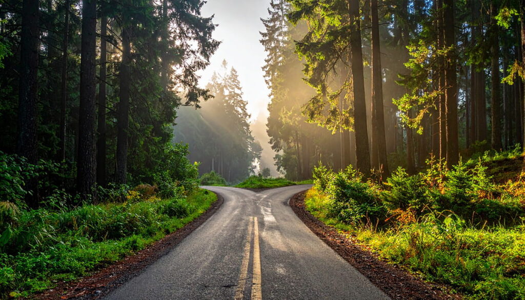 読む順番で結末が変わる小説の仕組みと作品の選び方