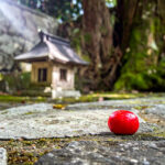 続編への伏線？「VIVANT」の最後のまんじゅうの意味を徹底解説：アイキャッチ